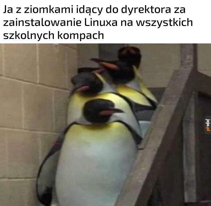 Mieliśmy swoje powody
