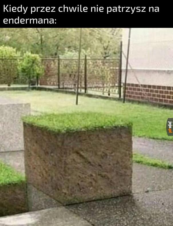Ukradł mi Bedrock i postawił w bazie