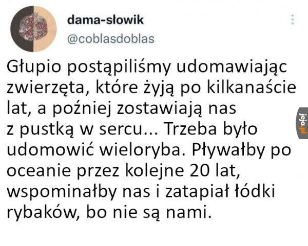 Ja na przykład tęsknię za kiciusiem