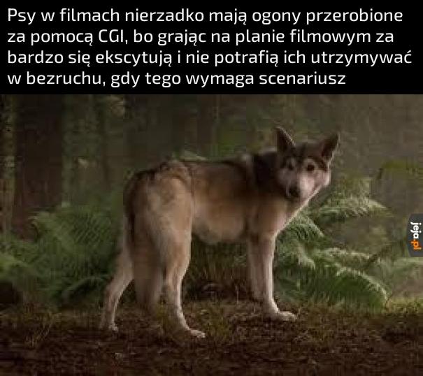 Dlatego też im nie idzie gra w pokera