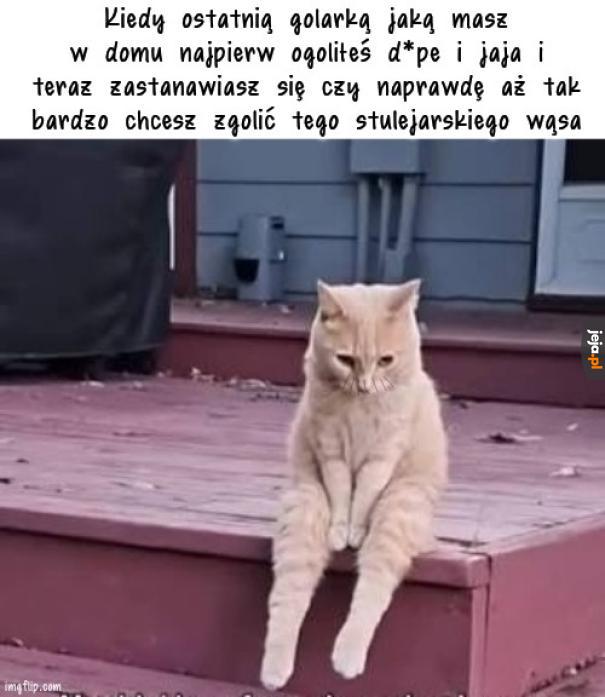 Może jak się zabarykaduje w pokoju na następne dwa tygodnie to będzie ten wąs dobrze wyglądał