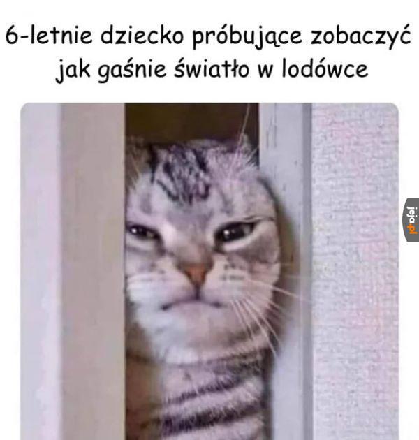 Ciekawskie dydo