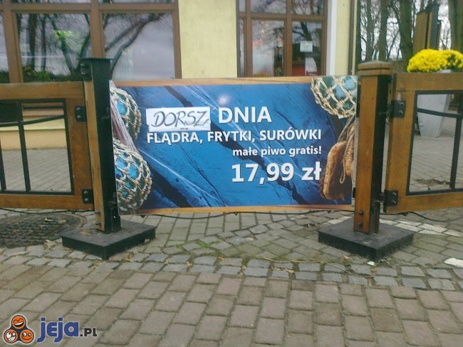 Dorsz dnia