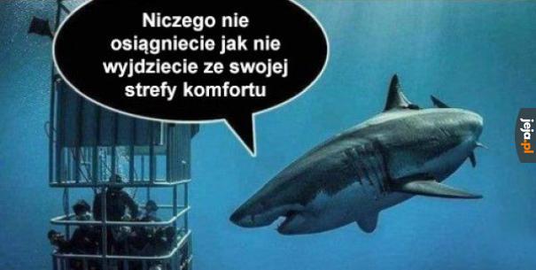 Strefa komfortu