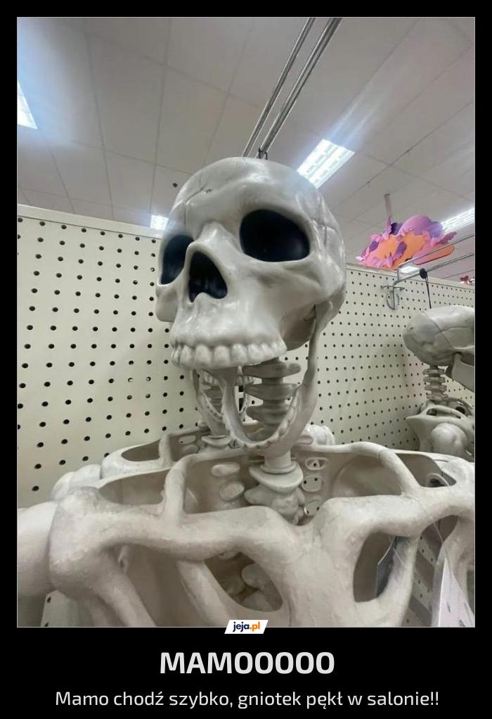 MAMOOOOO