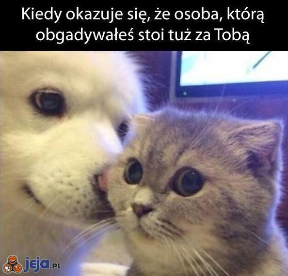 To uczucie...