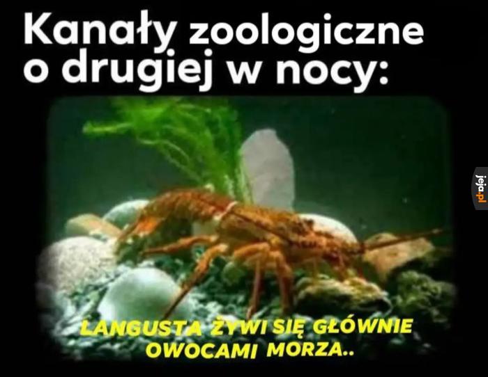 Dżem