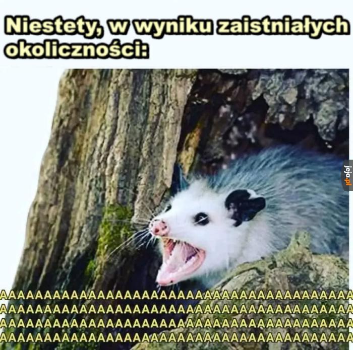Przyczyny niezależne ode mnie