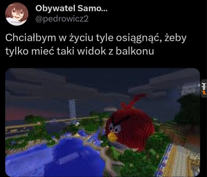 Czy proszę o tak wiele?