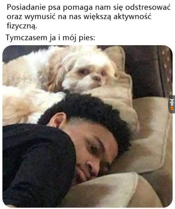 Ale energia...