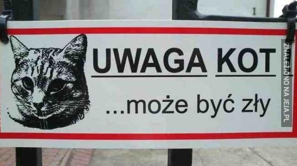 Uwaga kot!