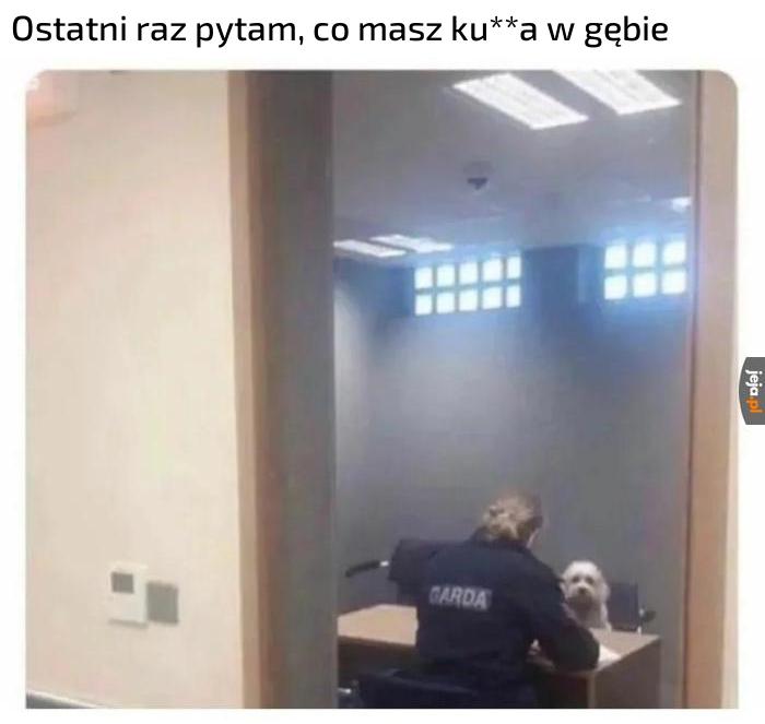 Co ty tam znowu żresz?! Oddawaj to! Zostaw!
