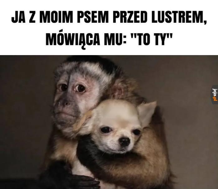 To ty piesku
