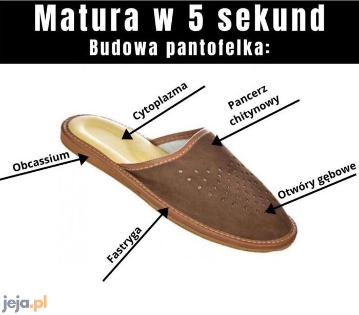 Proste