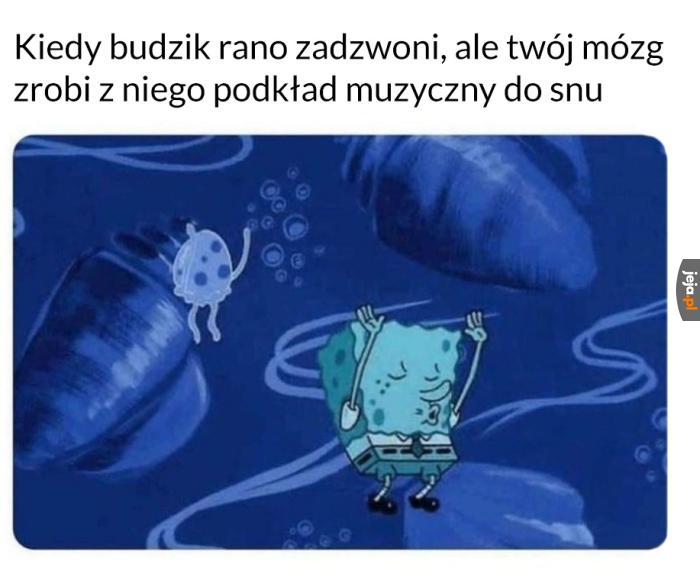 Dobra imprezka