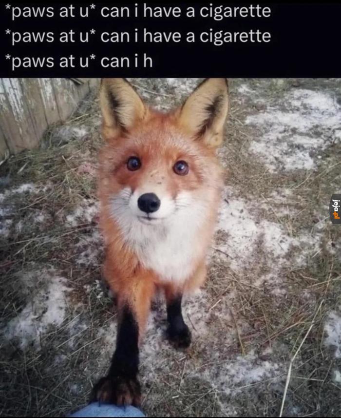 Zgadnij OPa, poziom hard.