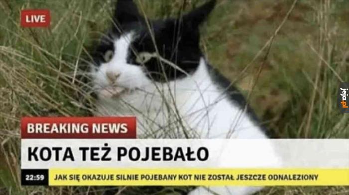 Nadchodzą mroczne czasy przyjacielu