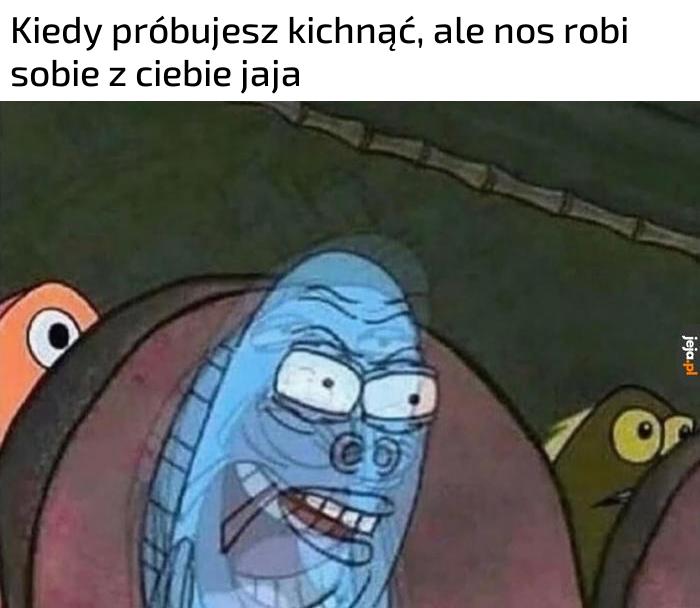 Irytujące