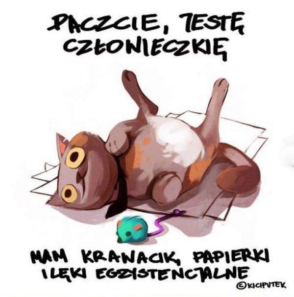 Paczajcie, jestę człowieczkię