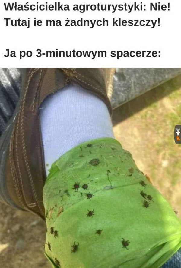 Nic mnie tak nie obrzydza jak kleszcze