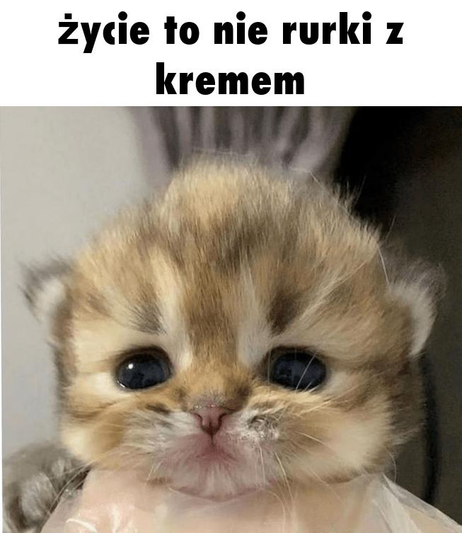 To nie różowy miś