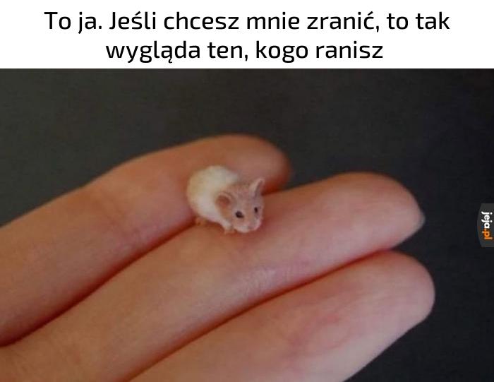 I co, dumny jesteś z siebie?