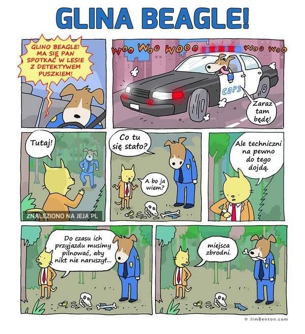 Glina Beagle na miejscu zbrodni
