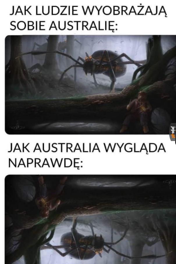 Po co jest blokada pisania komentarzy, dla nowych użytkowników?
