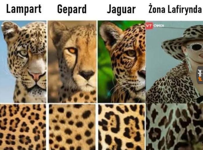 Idź mnie z tą wichurą