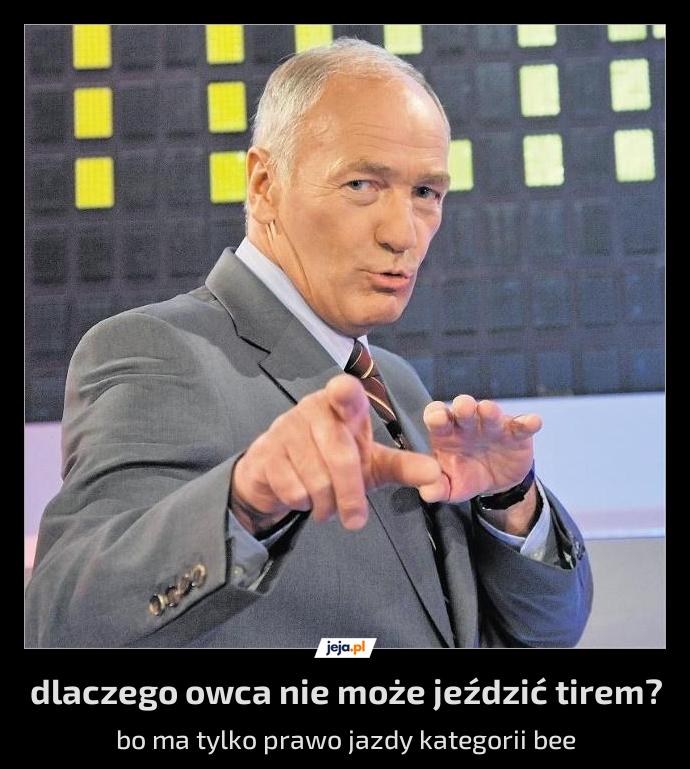 owczy sucharek