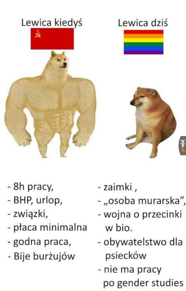 No ciekawe skąd tak niskie sondaże