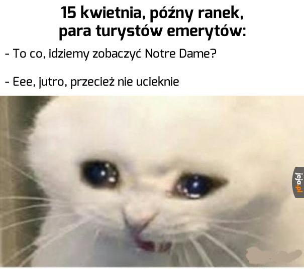 No i po wycieczce...