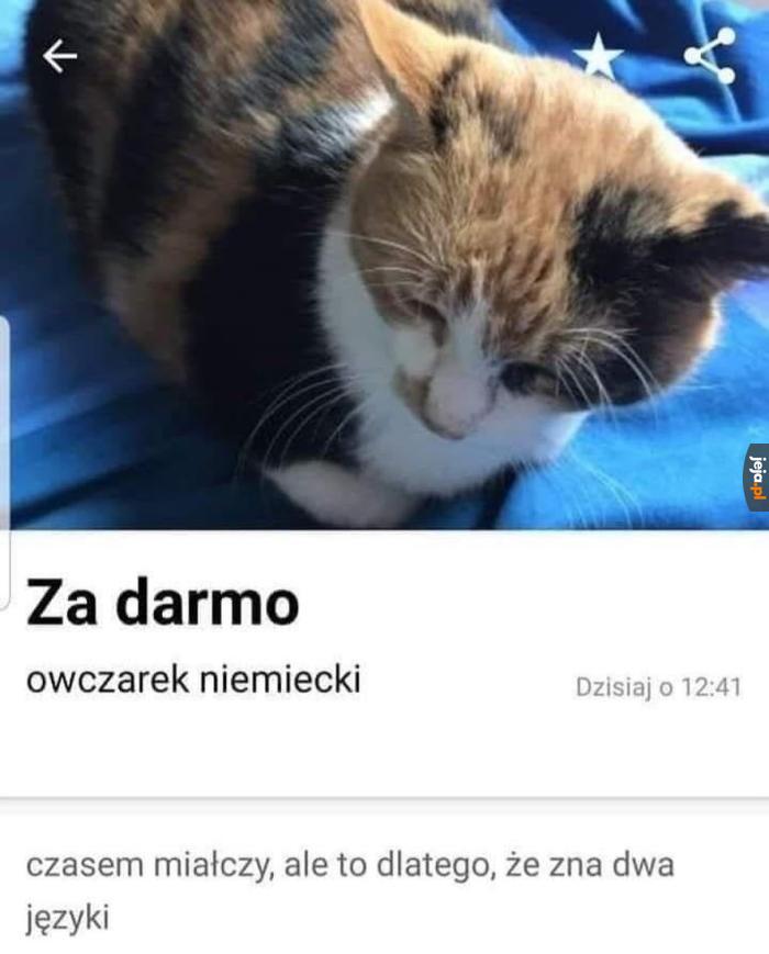 Coś mi tu nie gra