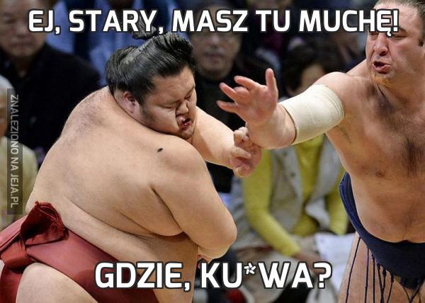 Ej, stary, masz tu muchę!