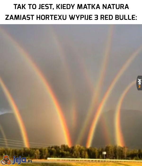 Tęczowa euforia