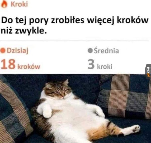 W końcu wziąłem się za siebie