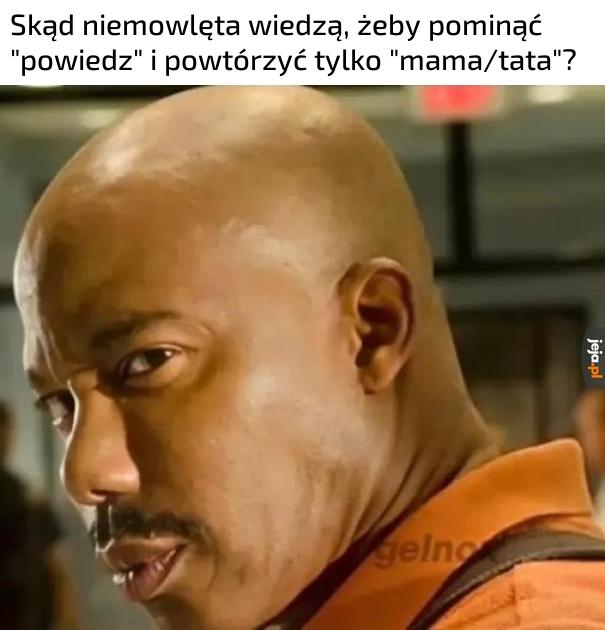 Ciule coś knują