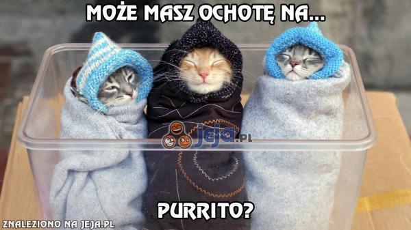 Które purrito wybierasz?