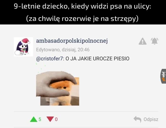 Spokojnie, nie gryzie