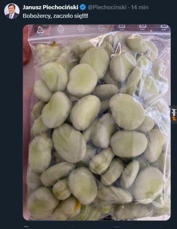 Lubisz bób?
