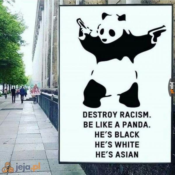 Tolerancyjna panda