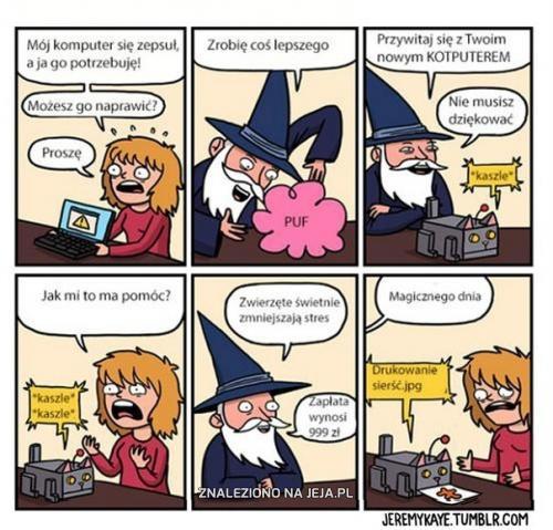 Nie chodź z komputerem do czarodzieja...