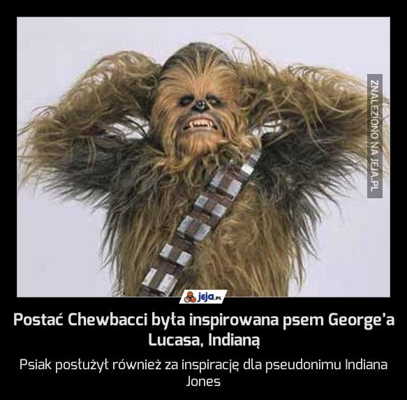Postać Chewbacci była inspirowana psem George’a Lucasa, Indianą