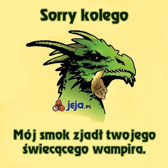Mój smok nie przepada za waszymi wampirami