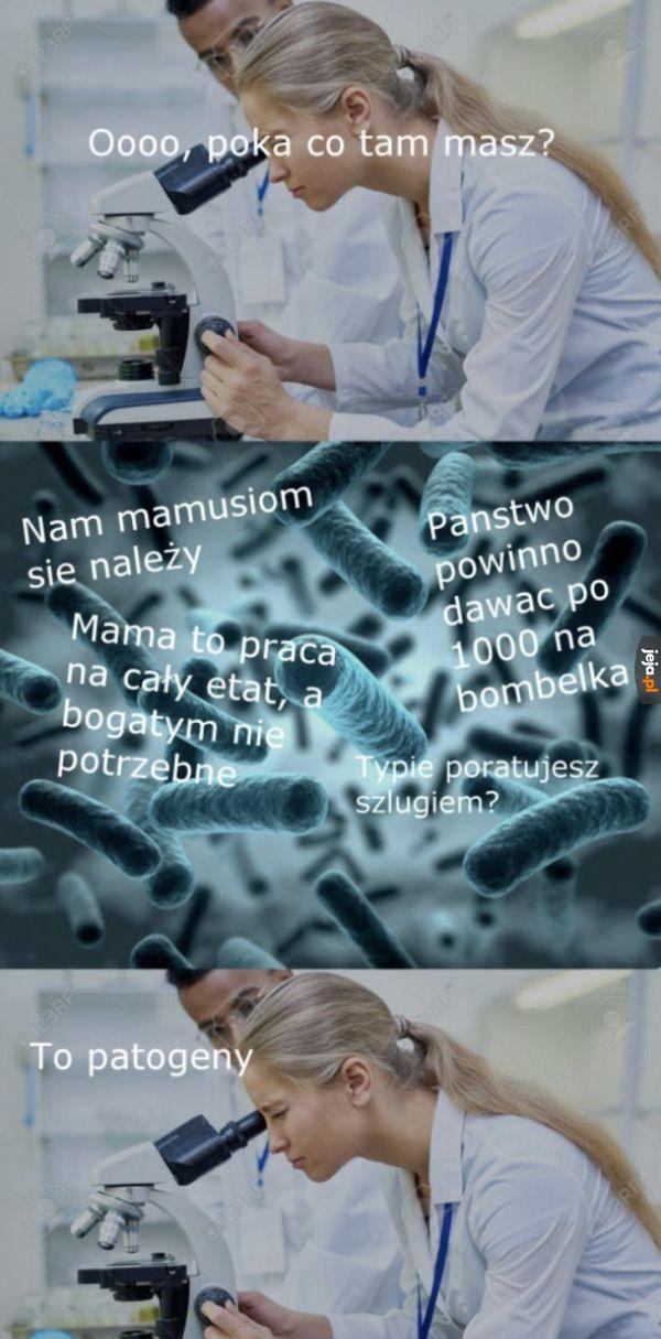 Patogeny
