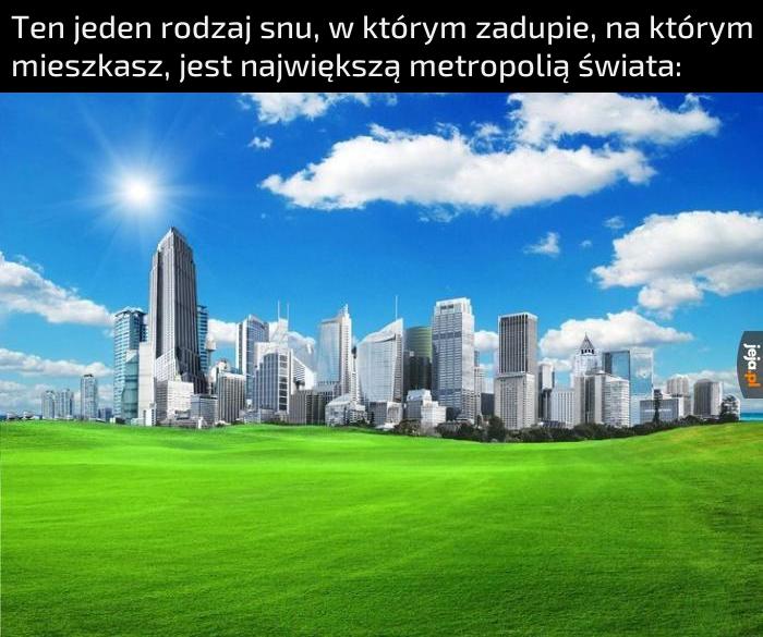 Piękny sen