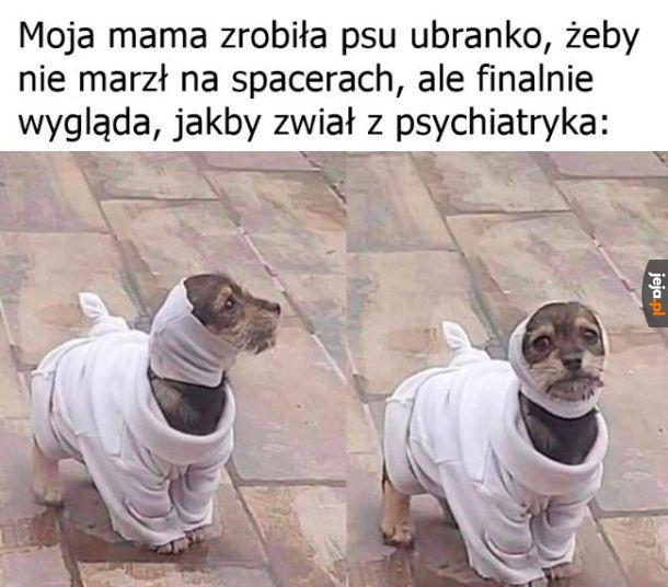 Mały ale wariat