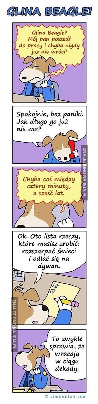 Kto ma, ten zrozumie