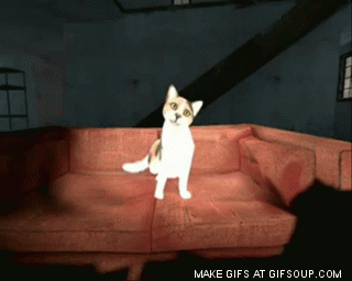 Gravity cat