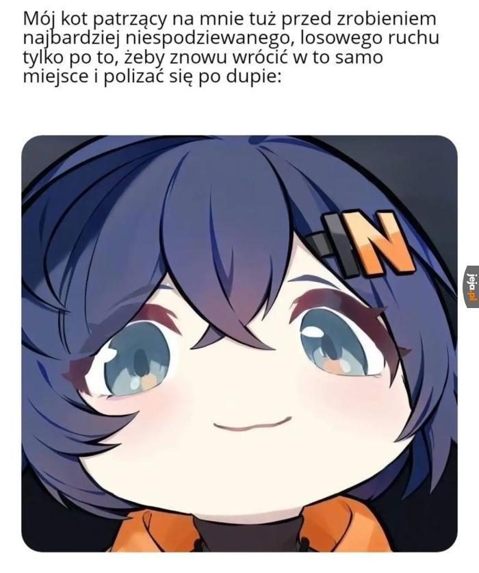 Mądre to?